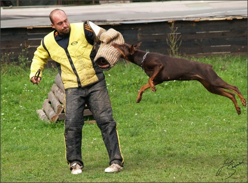 Training in Prague 10/2007